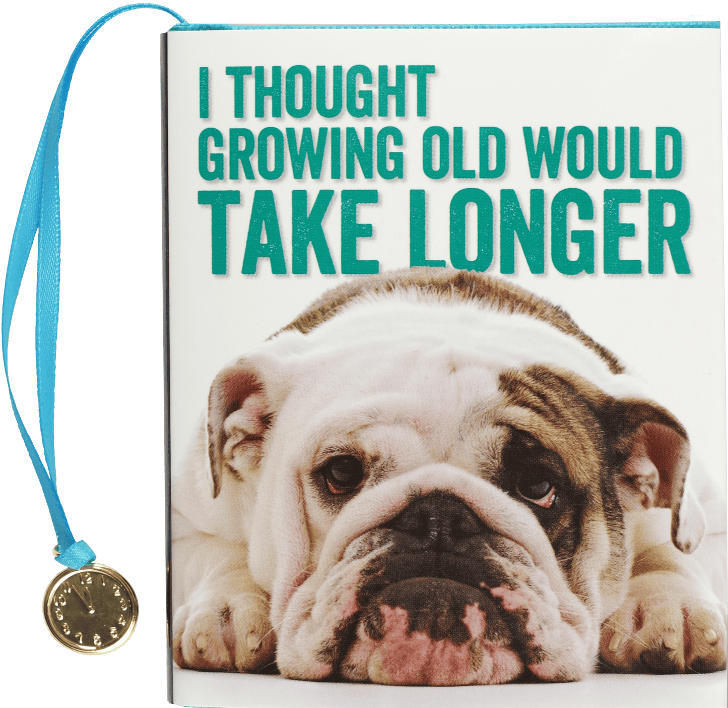 I Thought Growing Old Would Take Longer Everyday Mini Book