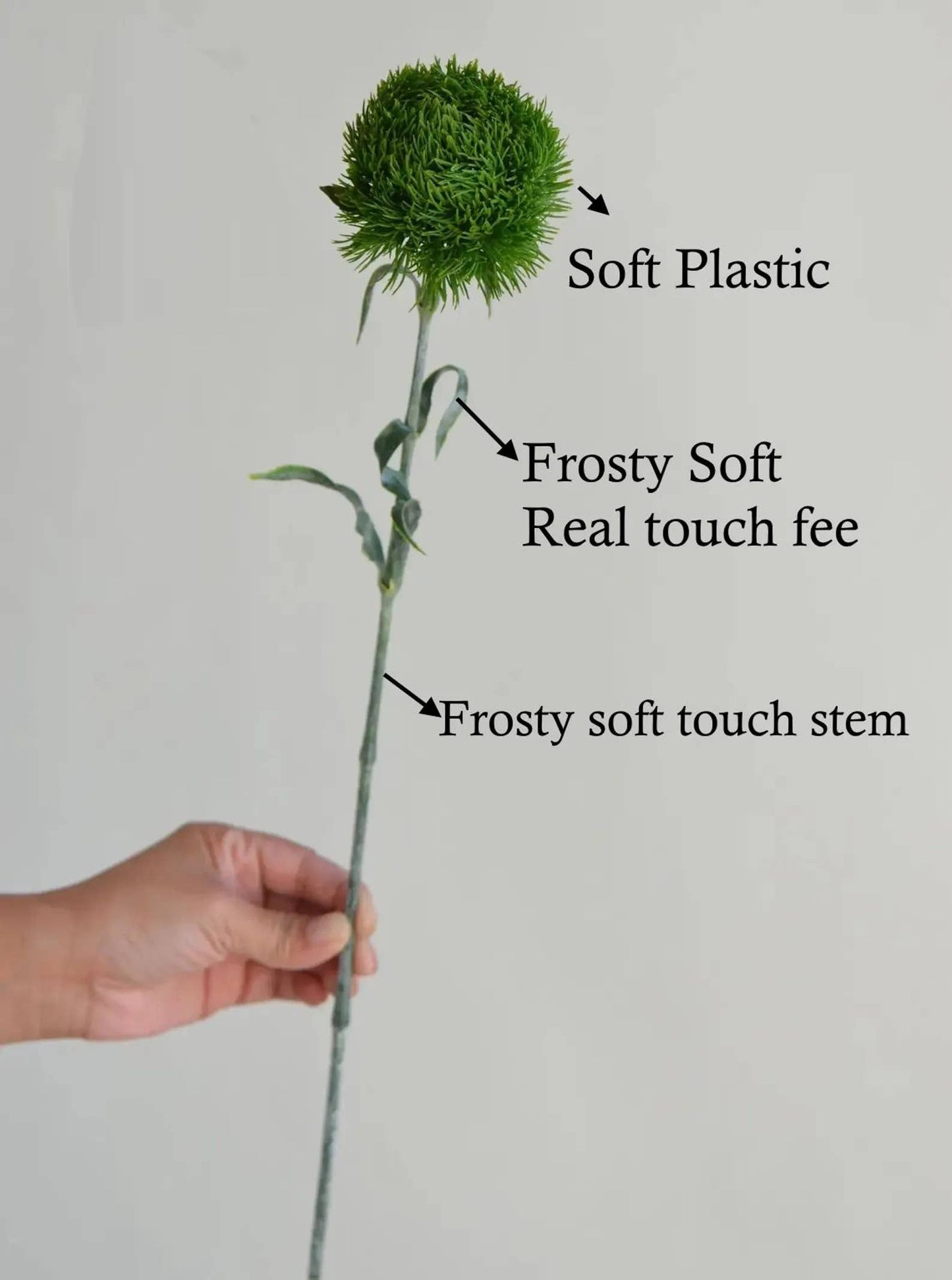 21.5" Dianthus Ball Fresh Green stem