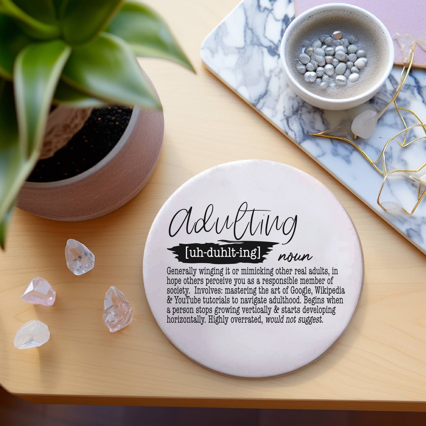 Funny Coaster Gift Sets, Humor Drink Dictionary Definitions