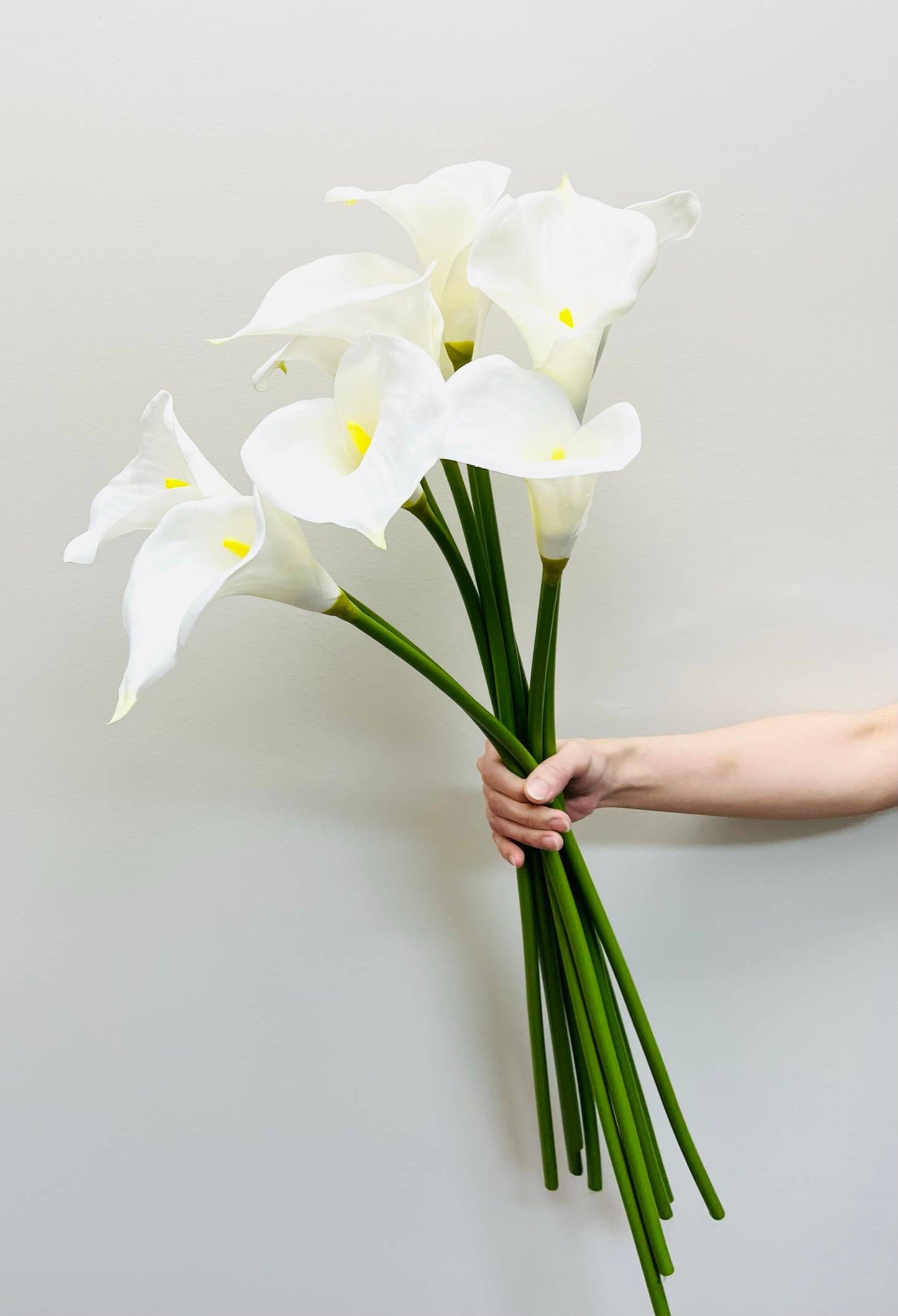 calla lily-2 sizes