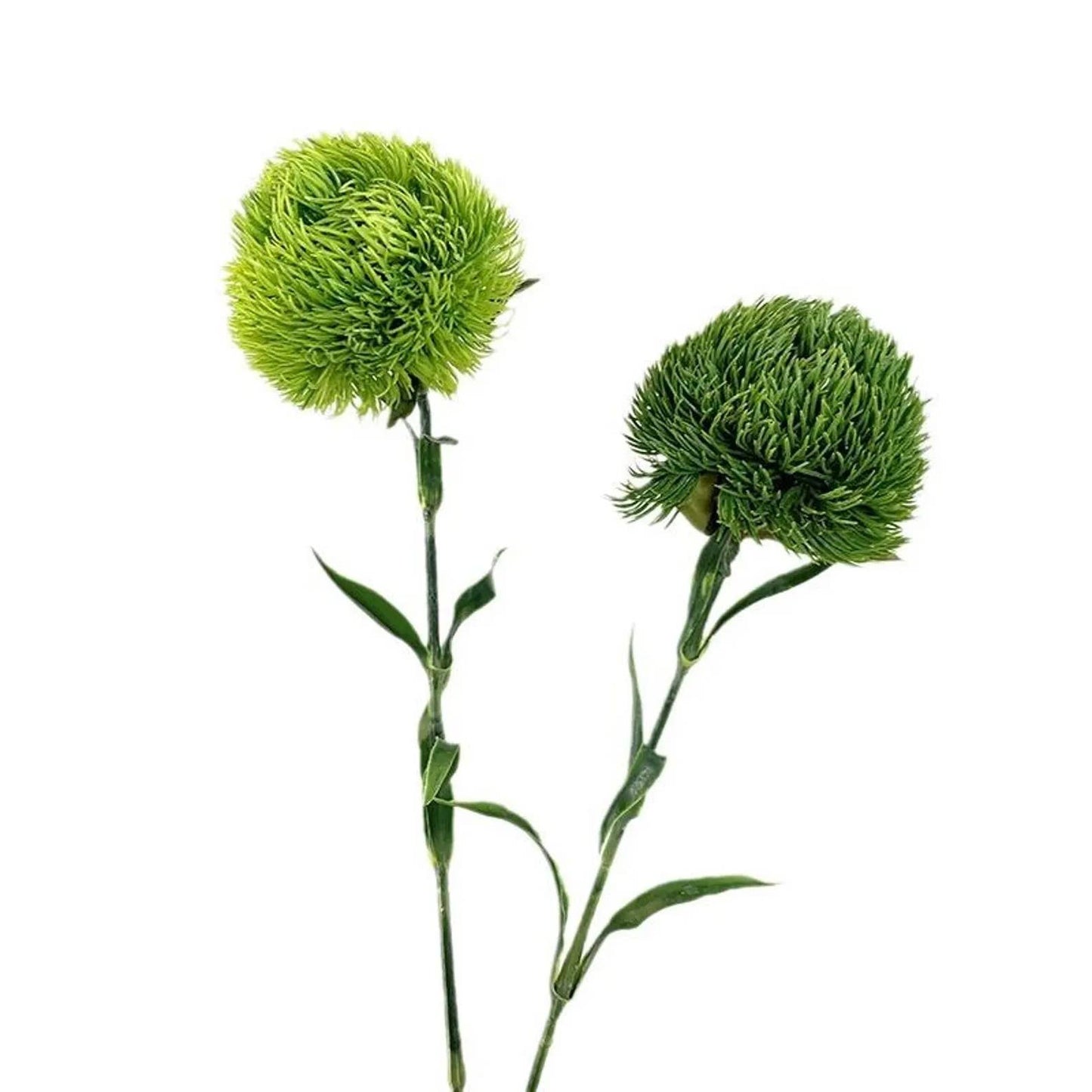21.5" Dianthus Ball Fresh Green stem