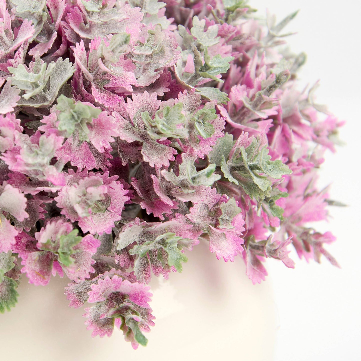 Purple Phlox Vase