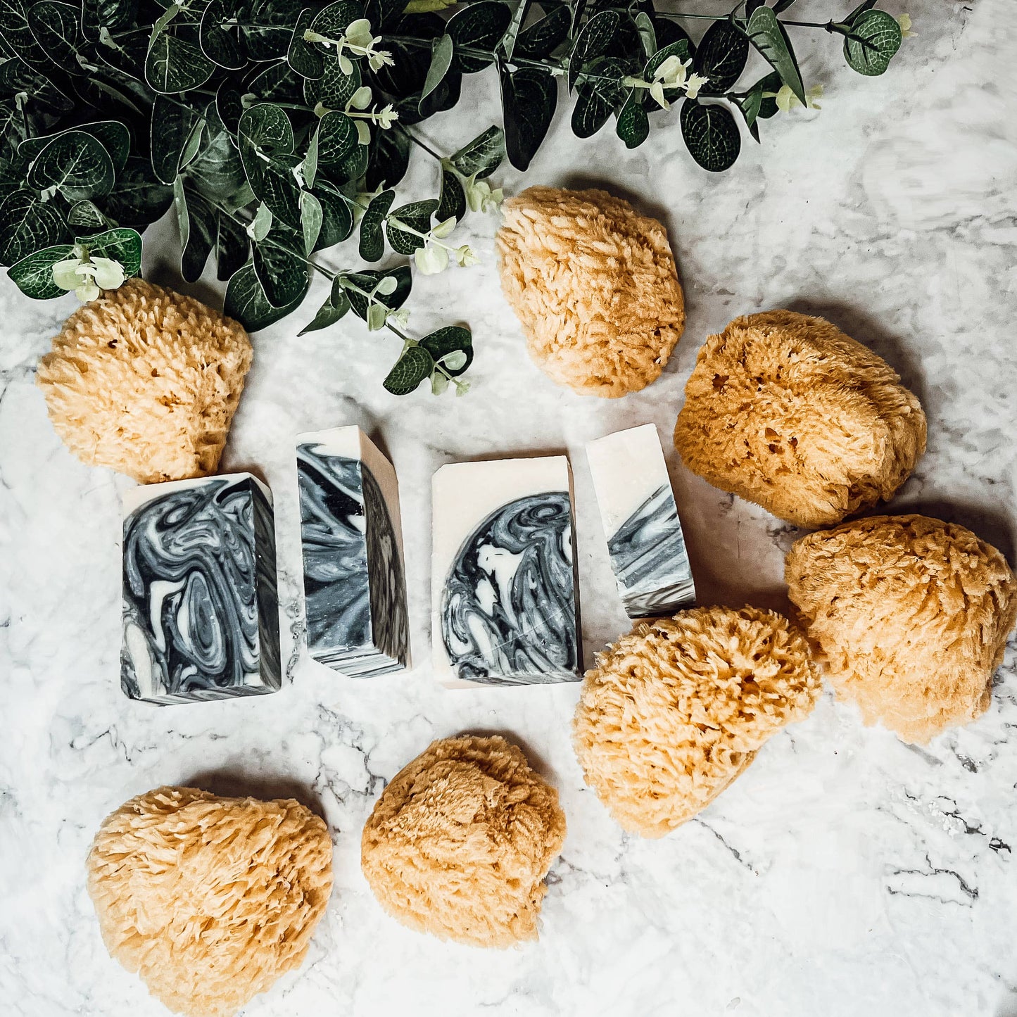 Dead Sea Sponge, All Natural Body Wash Loofah 4-5"