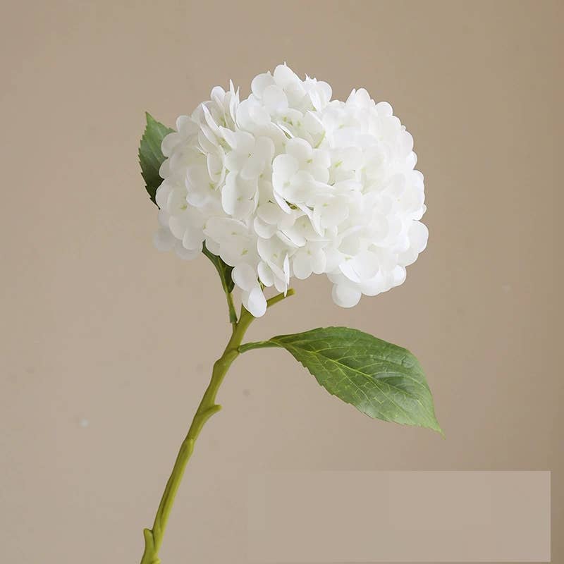 12.Hydrangea-6”bloom