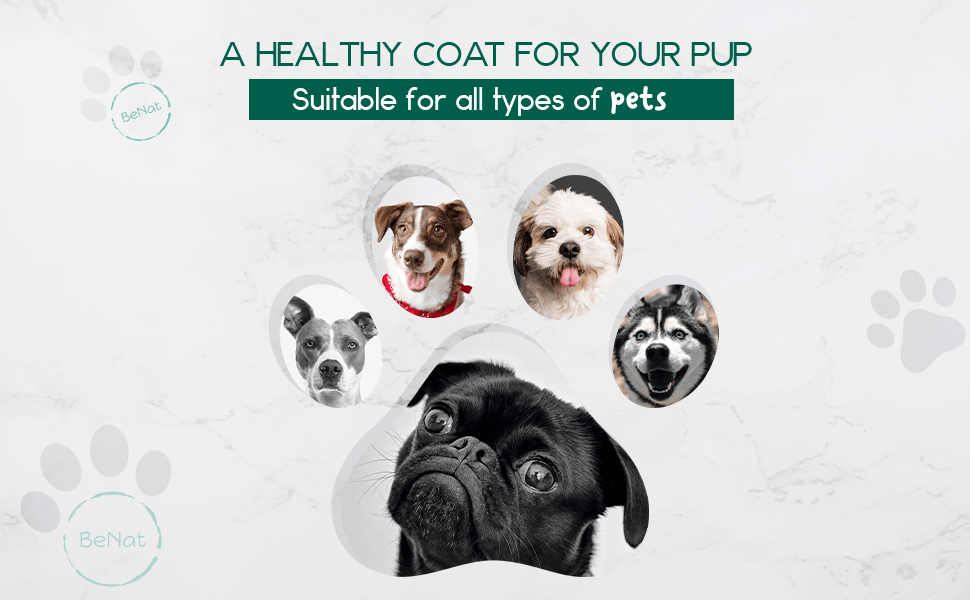 BeNat Pets. Artisanal Pet Shampoo Bar. Oat. 5.8 oz.