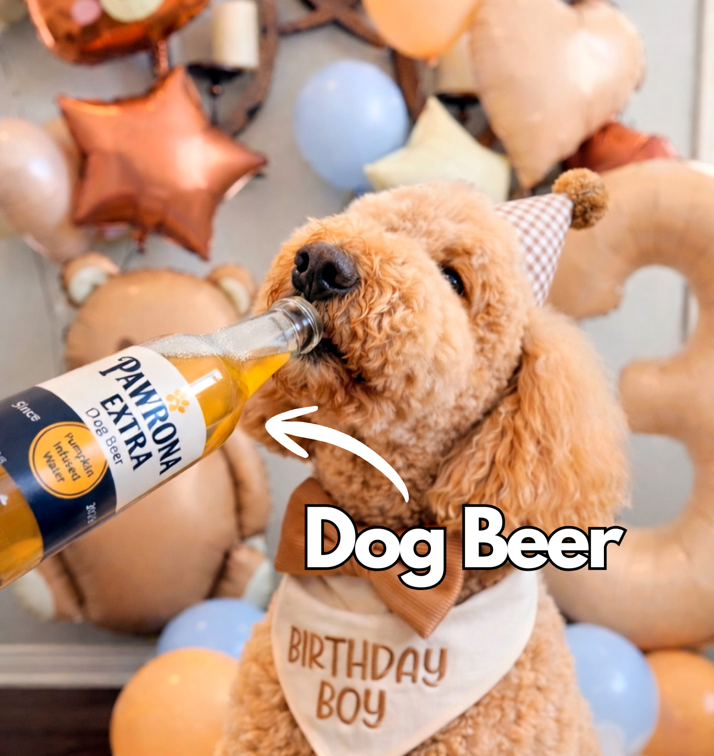 Paw-Rona Dog Beer 12oz | 10ct | Pumpkin 