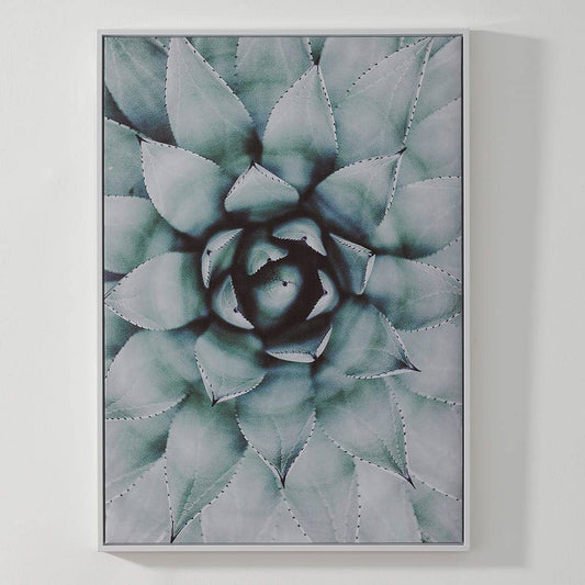 Succulent Canvas Print