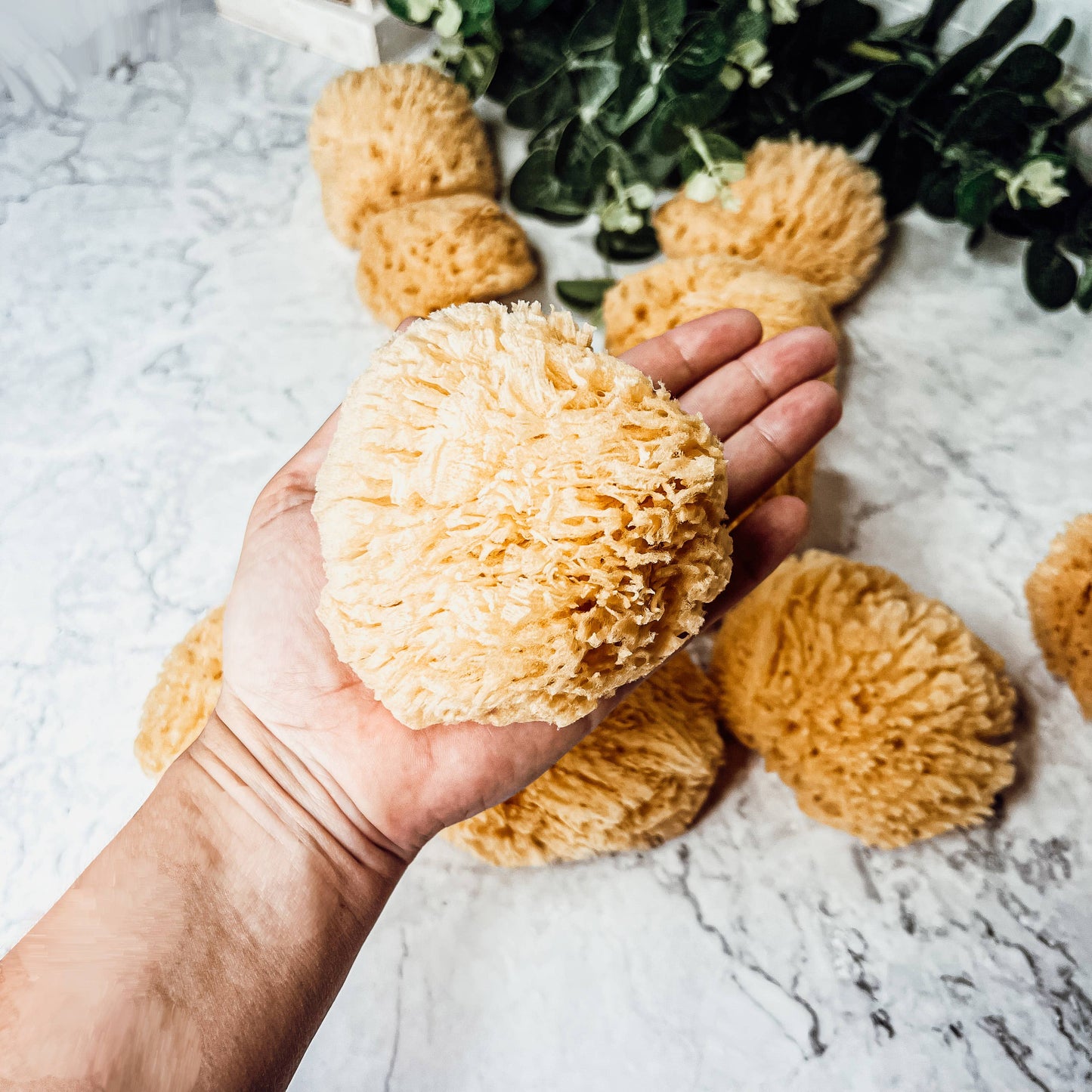 Dead Sea Sponge, All Natural Body Wash Loofah 4-5"