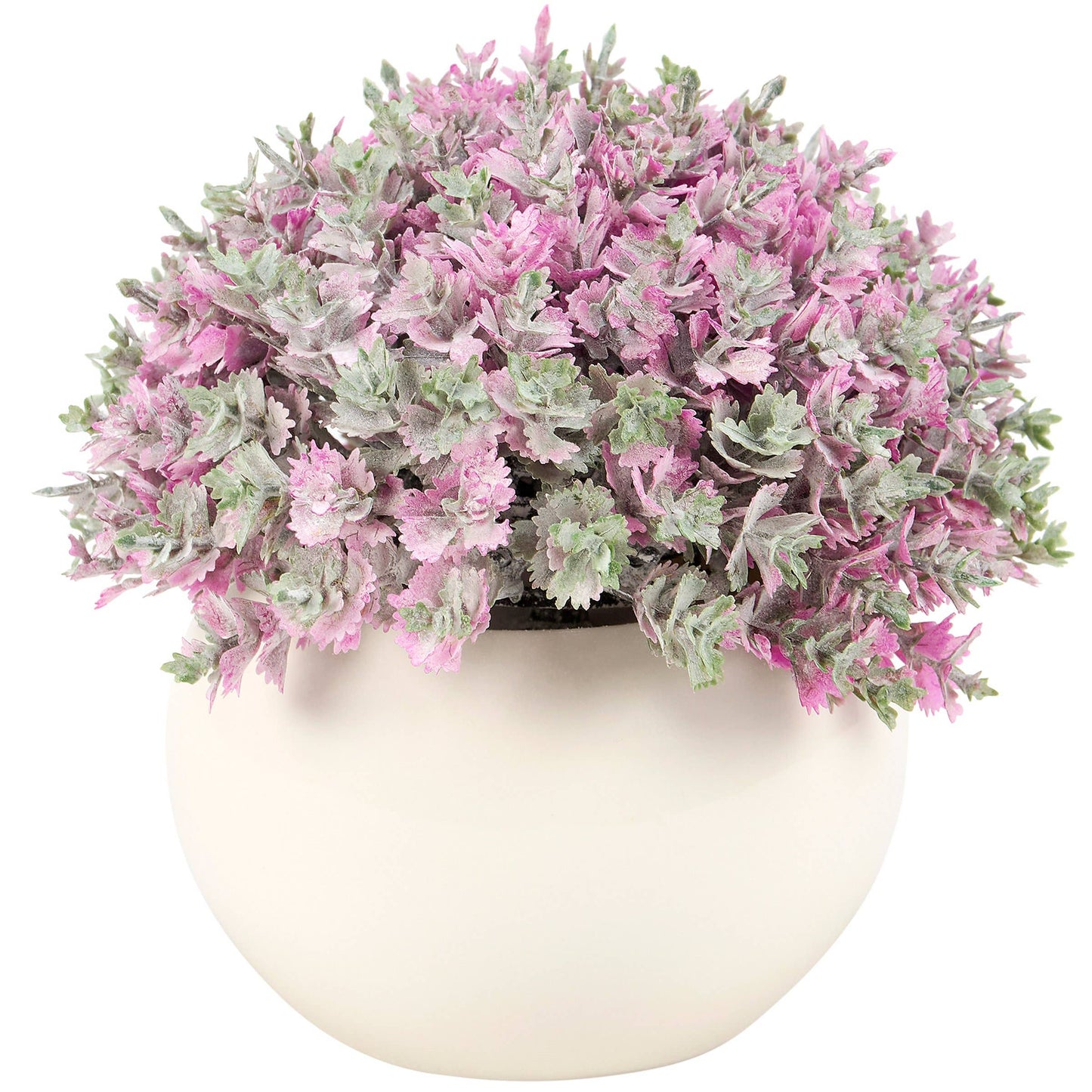 Purple Phlox Vase