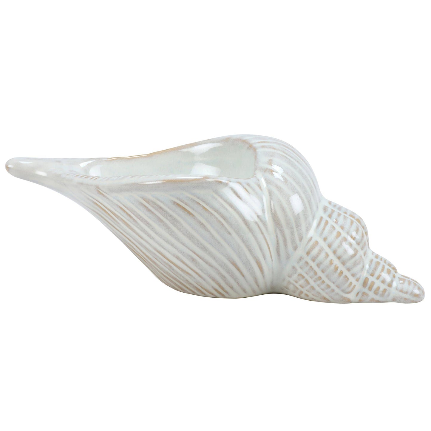 Conch Shell Sitter