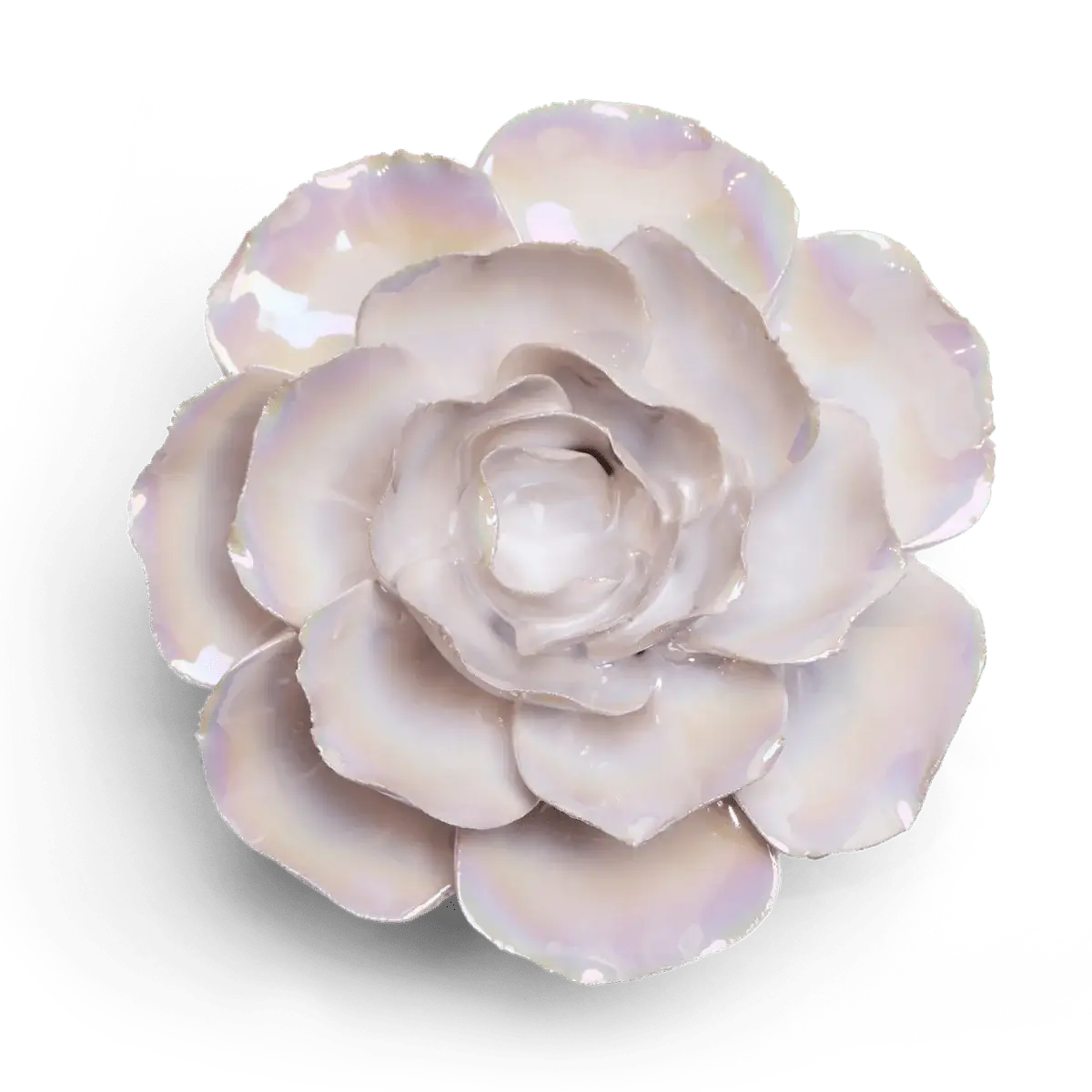 Premium Ceramic Flowers - Handcrafted Box Pearl Ranunculus