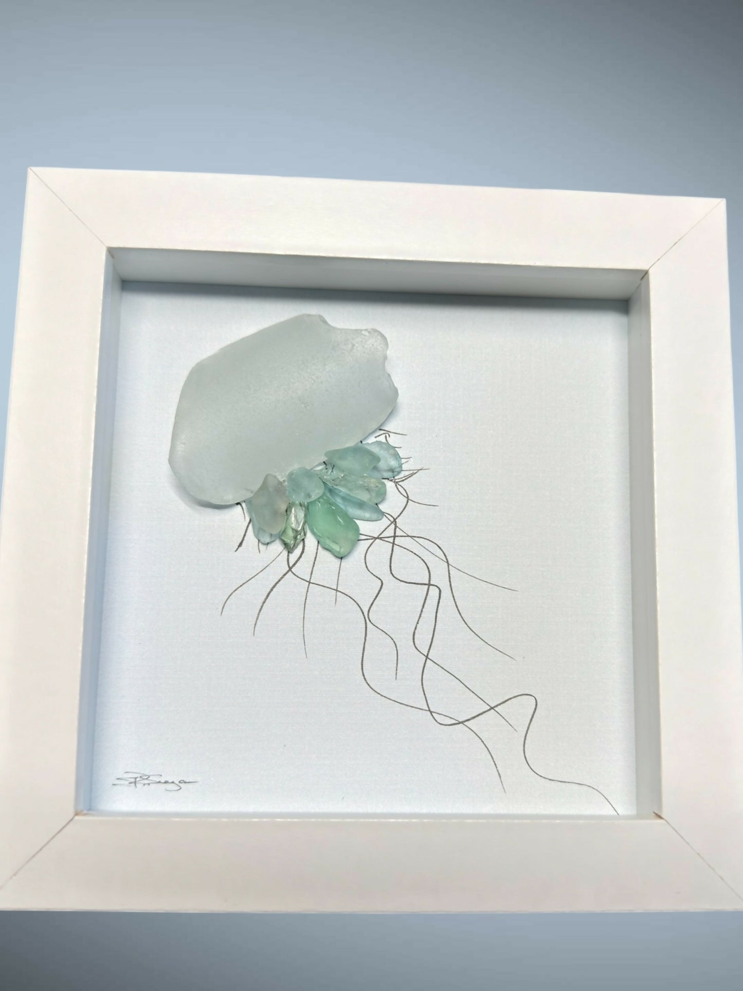 One Jellyfish 5x5